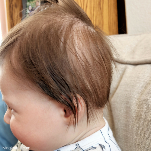 Baby's First Haircut - Living Kairos