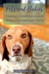 Pets and Babies: How to Create a Safe Environment Where Everyone Gets Along | Baby Health and Safety | Kids | Pets | Parenting | Motherhood